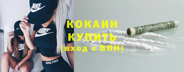 дживик Баксан