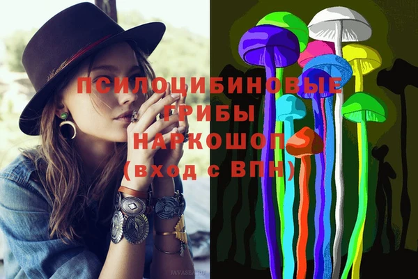 дживик Баксан