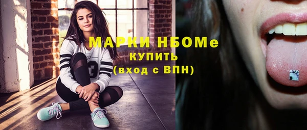 дживик Баксан