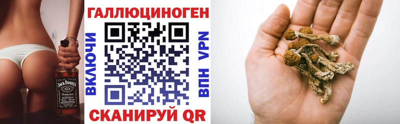 кракен маркетплейс  Краснокамск  Галлюциногенные грибы Psilocybe 